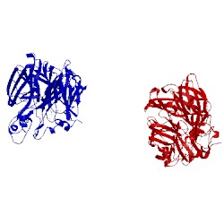 Image of CATH 2bix