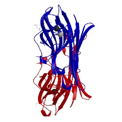 Image of CATH 2cy6