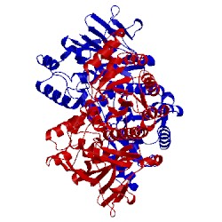 Image of CATH 2gvl