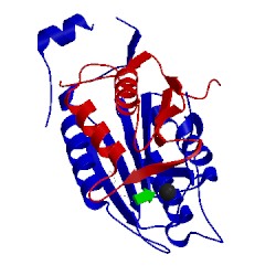 Image of CATH 2hbz