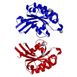 Image of CATH 2hup