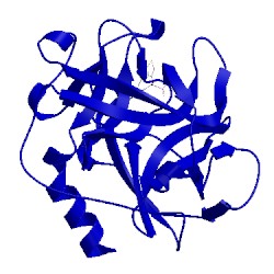 Image of CATH 2hvx