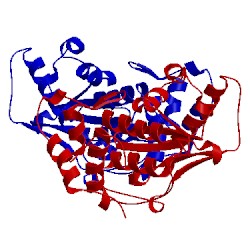 Image of CATH 2iyc