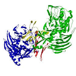 Image of CATH 2j04