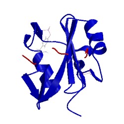 Image of CATH 2lct