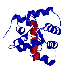 Image of CATH 2ll6