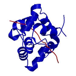 Image of CATH 2n8j