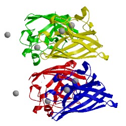 Image of CATH 2nnx