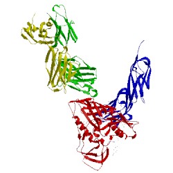 Image of CATH 2ny5