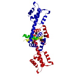 Image of CATH 2obh