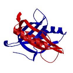 Image of CATH 2oct