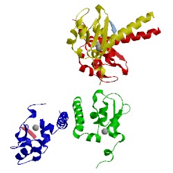 Image of CATH 2opz