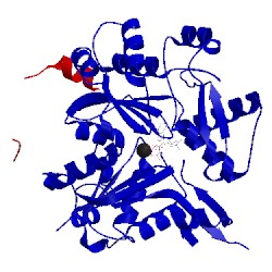 Image of CATH 2pbd