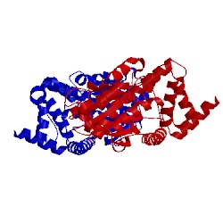 Image of CATH 2pid