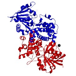 Image of CATH 2pla