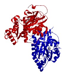 Image of CATH 2qb5