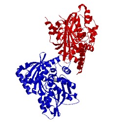 Image of CATH 2qb6