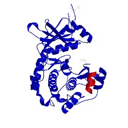 Image of CATH 2uvx