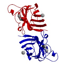 Image of CATH 2vr8