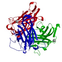 Image of CATH 2wgt