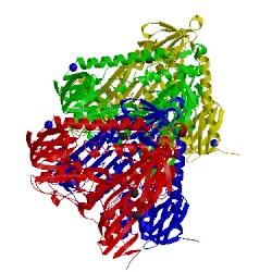 Image of CATH 2woi