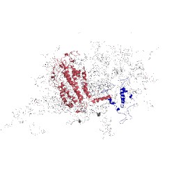 Image of CATH 2wsc