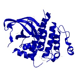 Image of CATH 2x2l