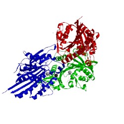 Image of CATH 2xae