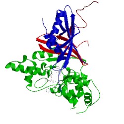 Image of CATH 2y8l