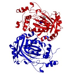 Image of CATH 2ybs