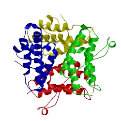 Image of CATH 2yyn