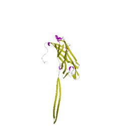 Image of CATH 3anzW00