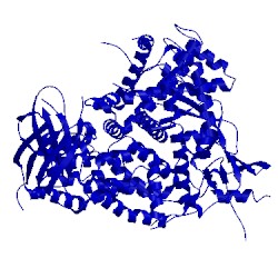 Image of CATH 3apc