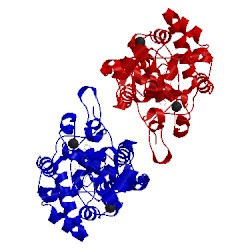 Image of CATH 3atj