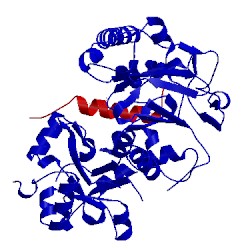 Image of CATH 3btp