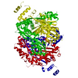 Image of CATH 3cd7