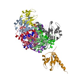 Image of CATH 3cm2