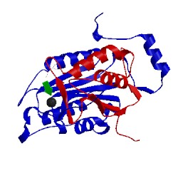 Image of CATH 3d6f