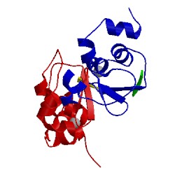 Image of CATH 3d9t