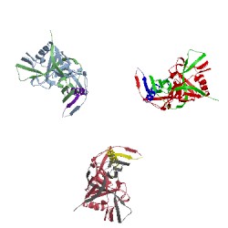 Image of CATH 3dnl