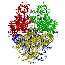 Image of CATH 3dyo