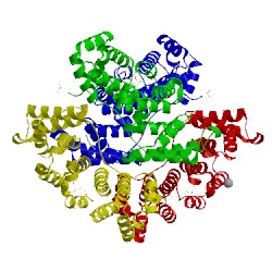 Image of CATH 3ebb