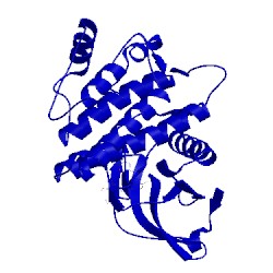 Image of CATH 3fqs