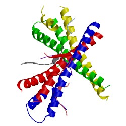 Image of CATH 3gjo