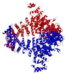 Image of CATH 3ibv