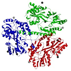 Image of CATH 3iov