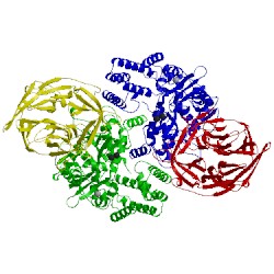 Image of CATH 3jby