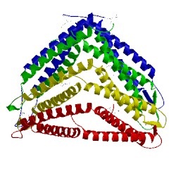 Image of CATH 3kdq