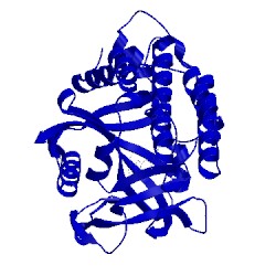 Image of CATH 3l3m