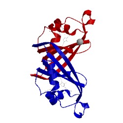 Image of CATH 3lgm